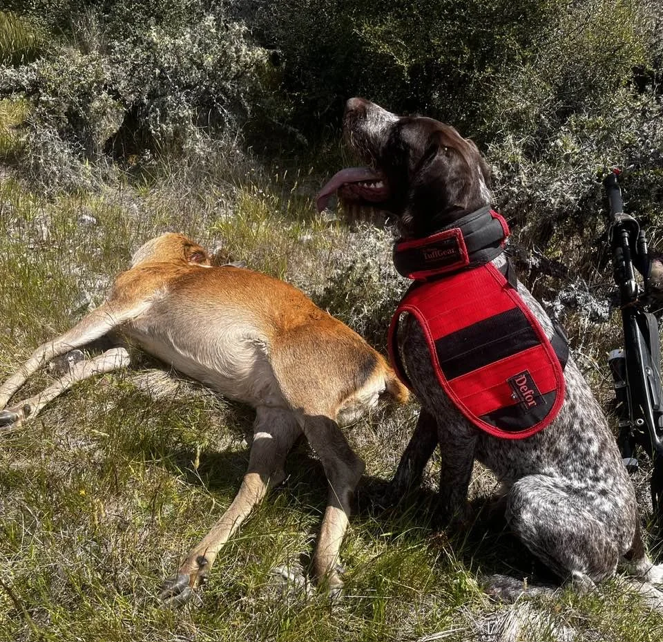 473826880_1339682303725330_647972209047118901_n.jpg Grant Flower and Moose Jan 2025.jpg