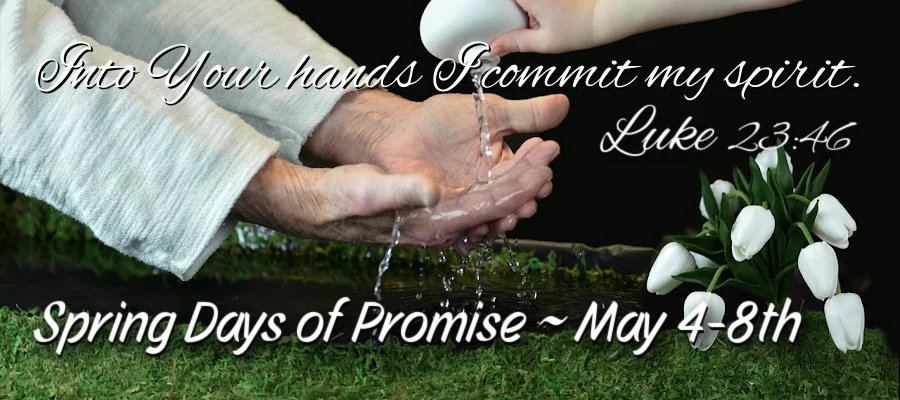 Days of Promise 2026!