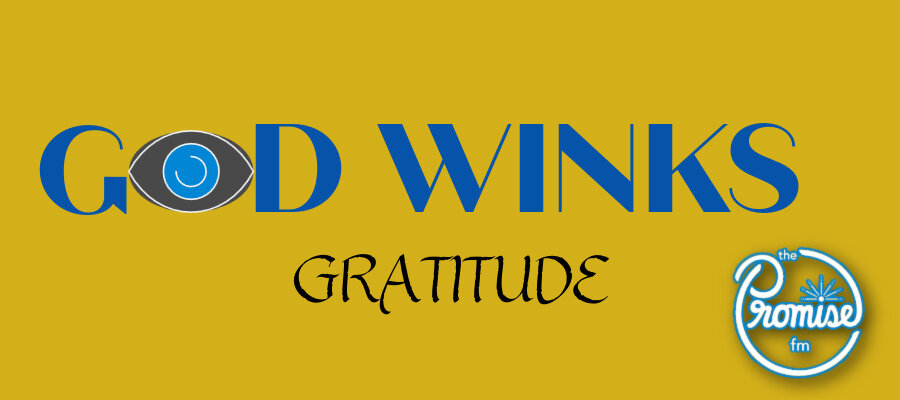 GOD WINKS - GRATITUDE