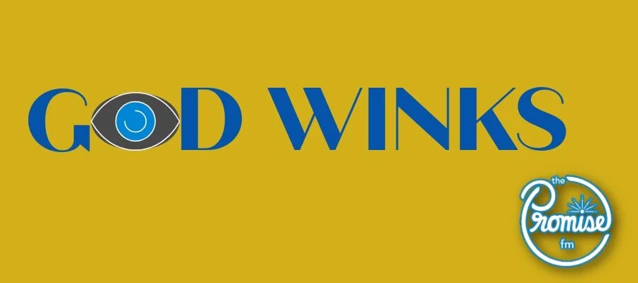 God Winks - Monarchs