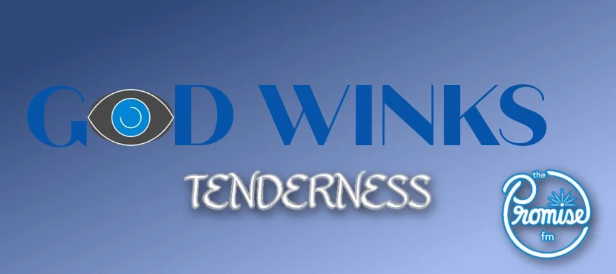 GOD WINKS - TENDERNESS