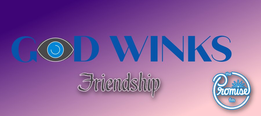 Friends In High Places