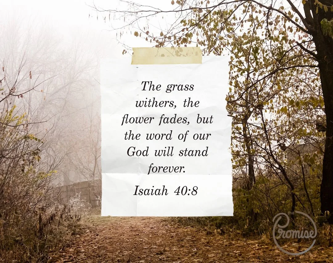 EW Isaiah 40-8 - Kelly 2026.02.02 1080 x 854.jpg