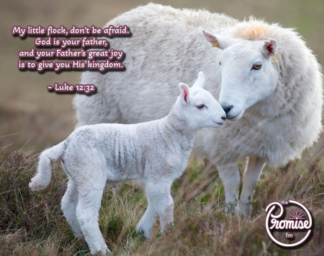 Luke 12 - 1080 x 854.jpg