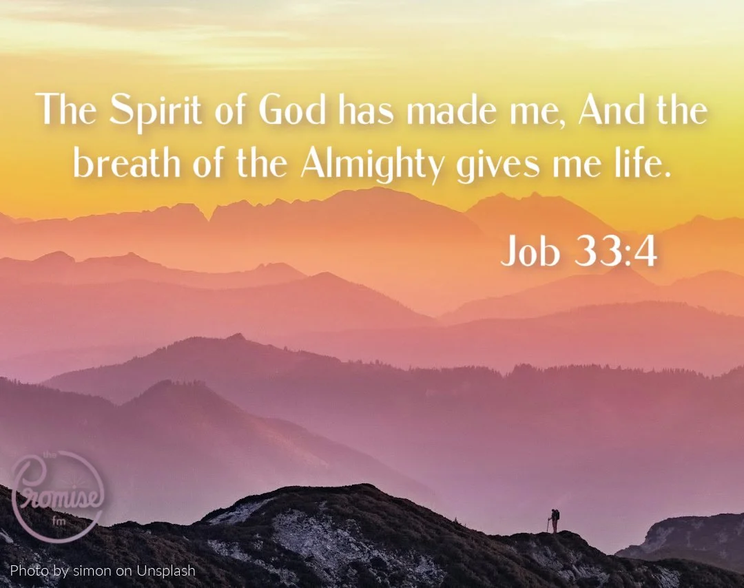 EW JOB 33-4 1080 x 854.jpg