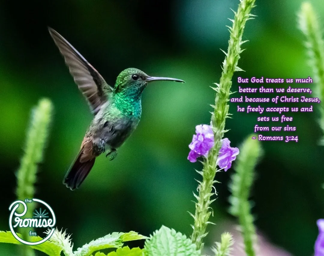 Romans 3 - 1080 x 854.jpg