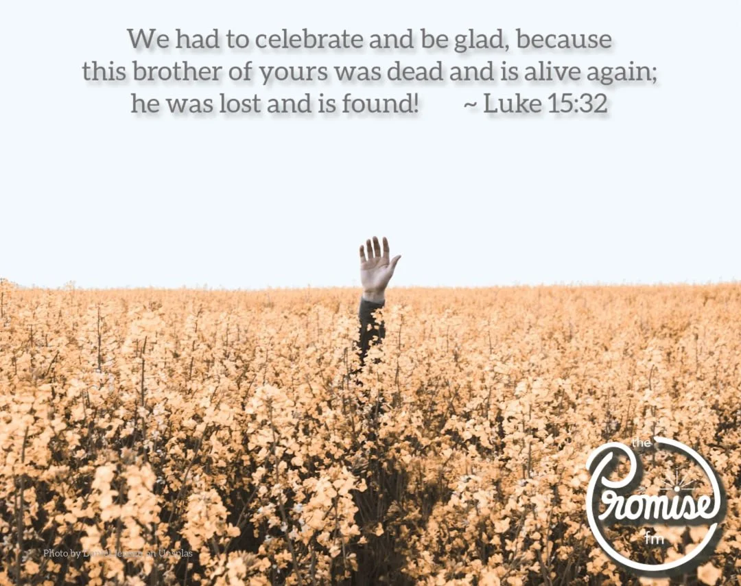 Luke 15 - 1080 x 854.jpg