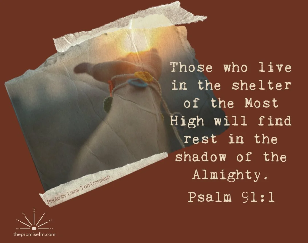 EW PSALM 91-1 1080 X 854.jpg