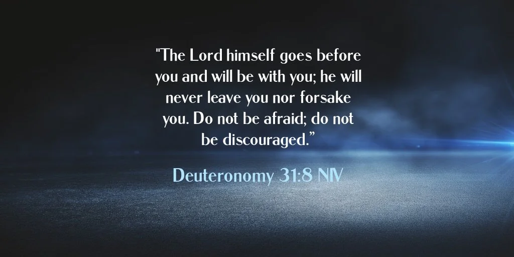 EW 2025_12_15 (1).jpg