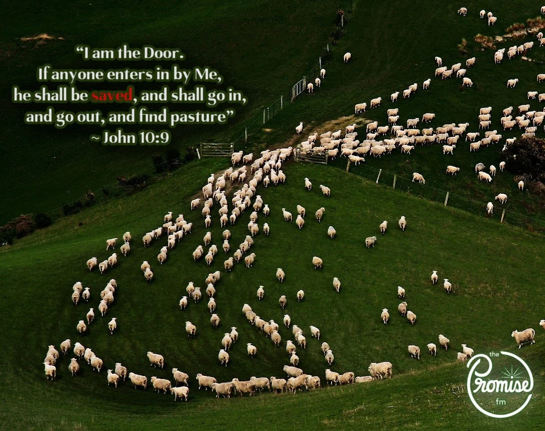 John 10 - 1080 x 854.jpg