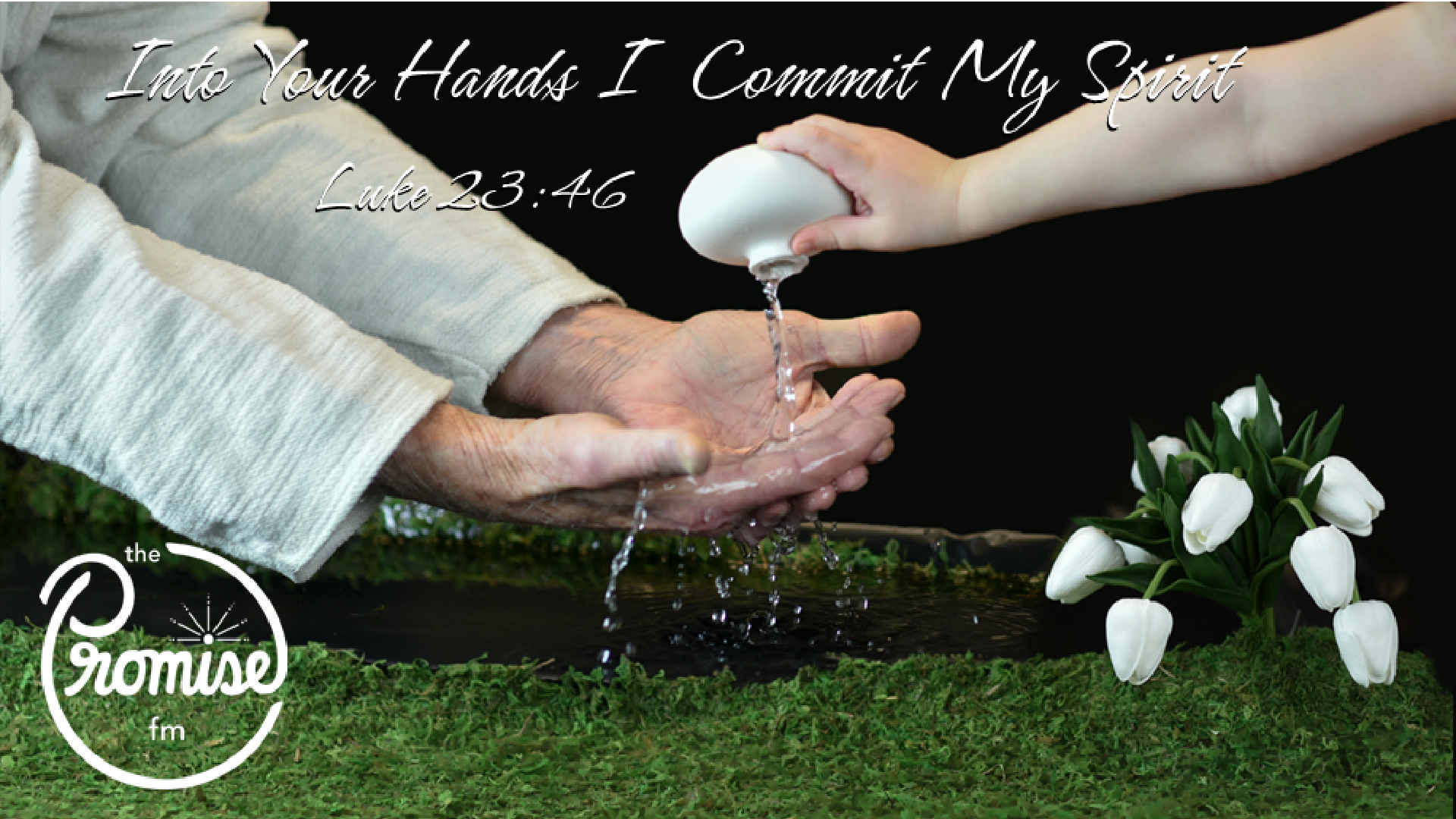 Promise.png right size.png