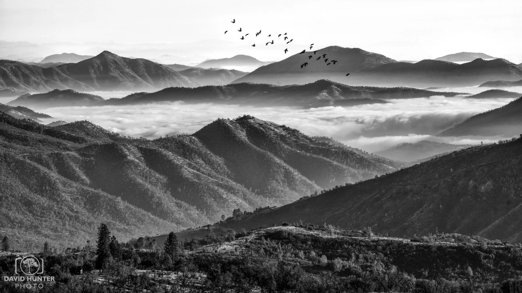 Up & Away on the 4 Lane