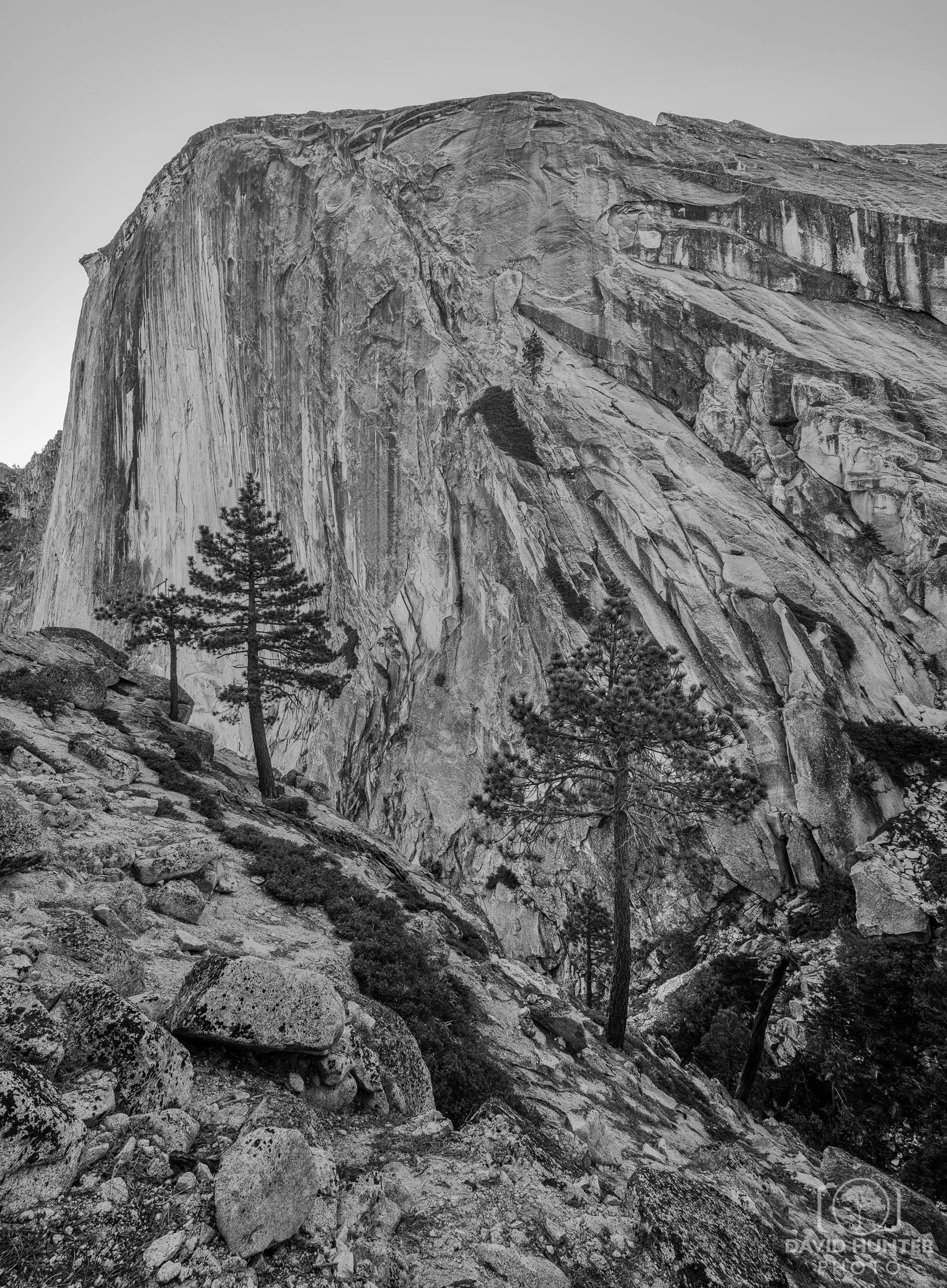 Half Dome Portrait