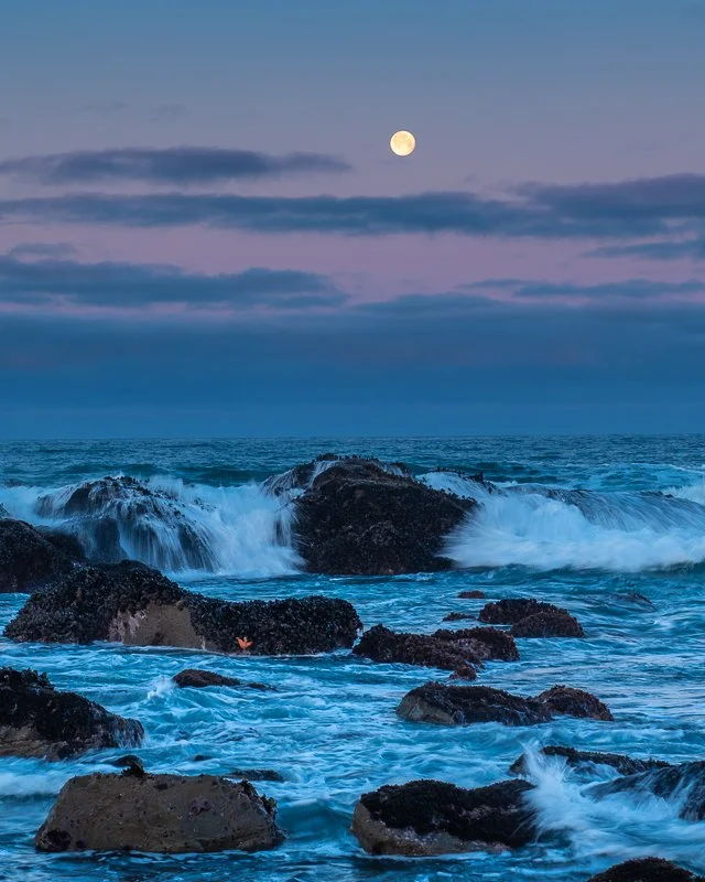 Ocean 19