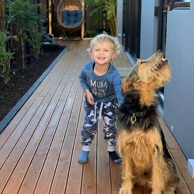 How cute are these 2 😍 Since opening Zen we have been lucky to make some special friends @adogcalledbooker 🐶 since lockdown we feel very grateful to be able to offer a service that reliefs stress a safe place for you to come to relax and take a hour for yourself ✨ if you haven&rsquo;t already why not book yourself in for a bit of self care these 2 couldn&rsquo;t agree more 😝