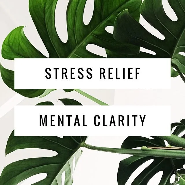 Imagine what you could achieve with a calmer, and focused mind and body. ☺️ In everyday life, your brain is busy processing and reacting to everything you have around you.  Stress builds up, your blood pressure rises and you feel overwhelmed.  Over time this manifests poor decision making, physical illness, or injury.  In the tank, everything melts away as you float effortlessly.  For an hour or so your mind is free from distraction and your body is free from gravity.  You enter a deep mediative state, while everything works to reverse the harmful effects of stress.  You feel lighter, clear-headed, and stretched out after thanks to the powerful combination of reduced sensory input, weightlessness, and Epsom salt.  Floating regularly helps you manage stress better, boosts your fitness, and improves your health. If your on the fence about floating theirs no better time then now ✨