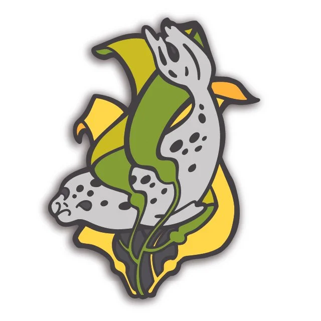 Sticker | Harbor Seal
