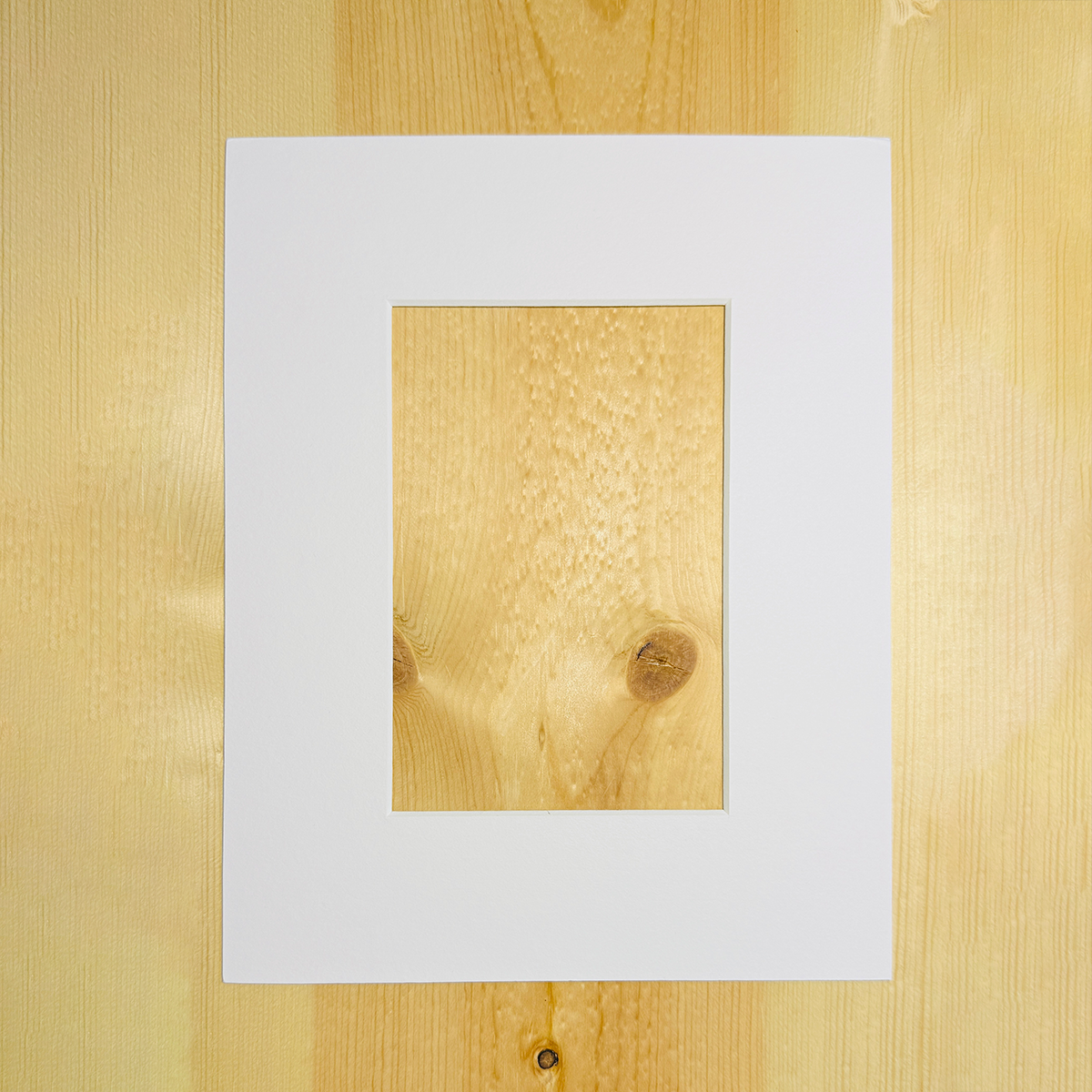 8x10" mat board with 4x6" window