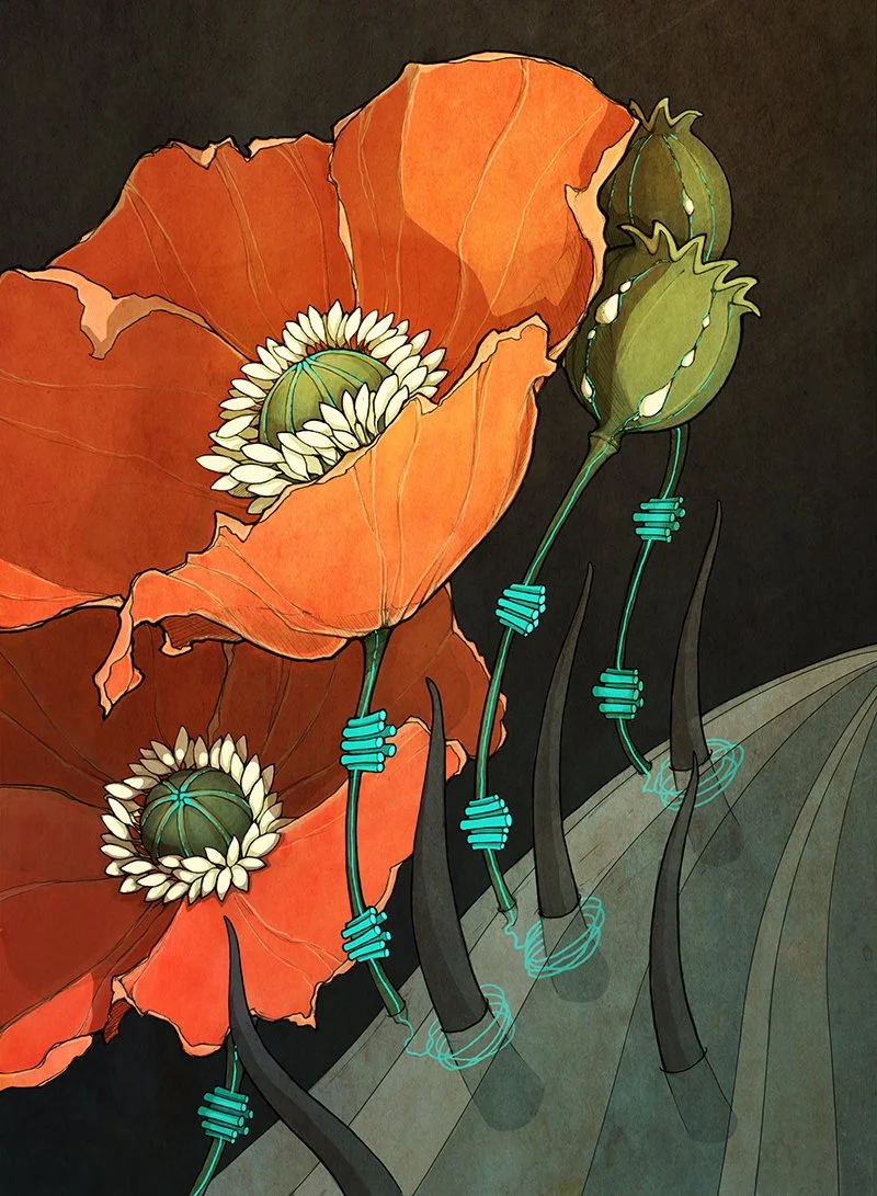Mixed media ink and hand-drawn digital illustration of orange poppy flowers with green buds, with black grass-like stems, set against a dark background.