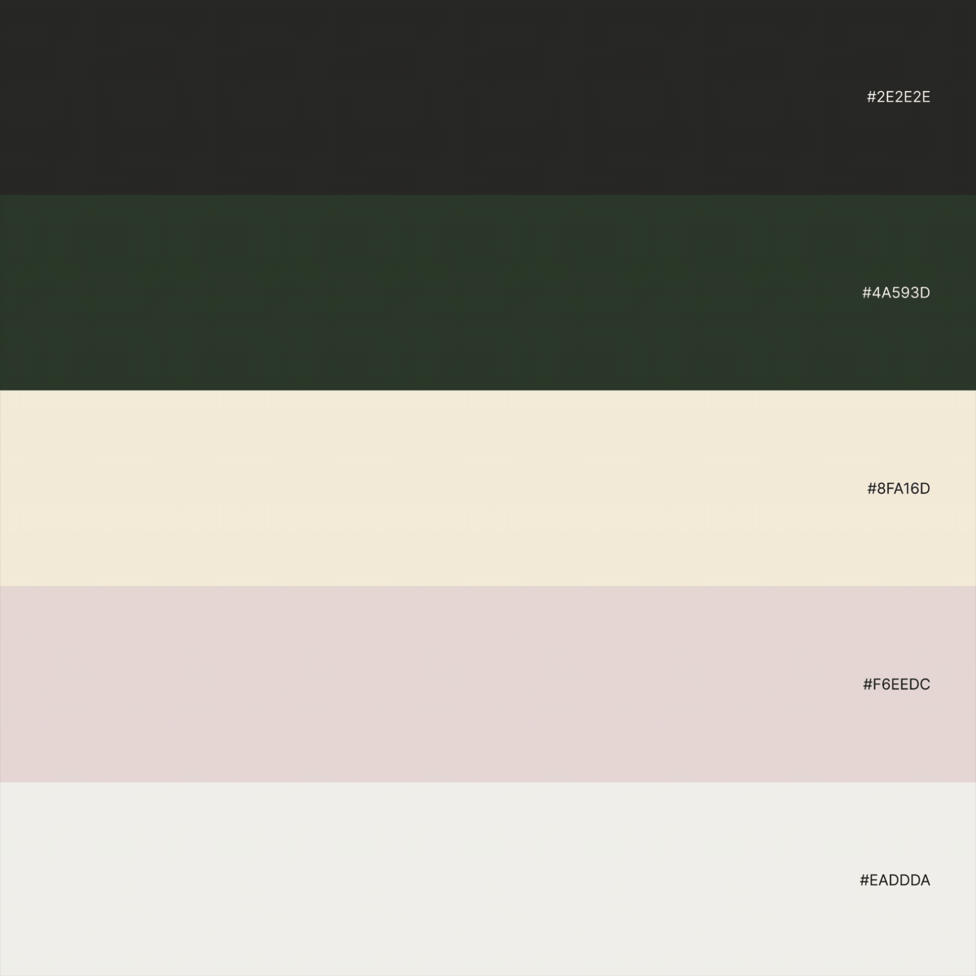 Morae Colors GIF Apr 10 2026.gif