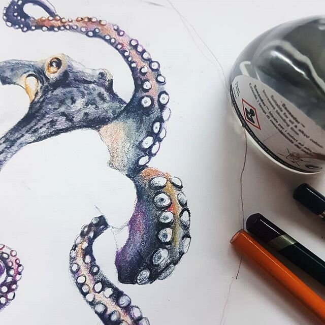 So all those octopus studies were heading to this piece... which I'm calling heart of the sea. 
Having been working on it for the past couple days and trying to even film a bit of it. Will share more later this week.

#heartofthesea #heartoftheocean 