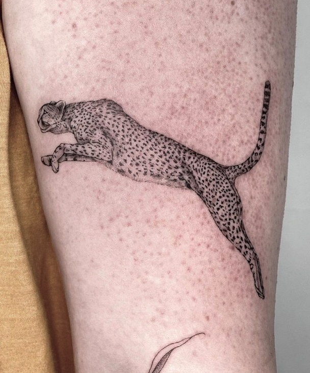 Screen Shot 2024-01-15 at 11.06.09 am.png