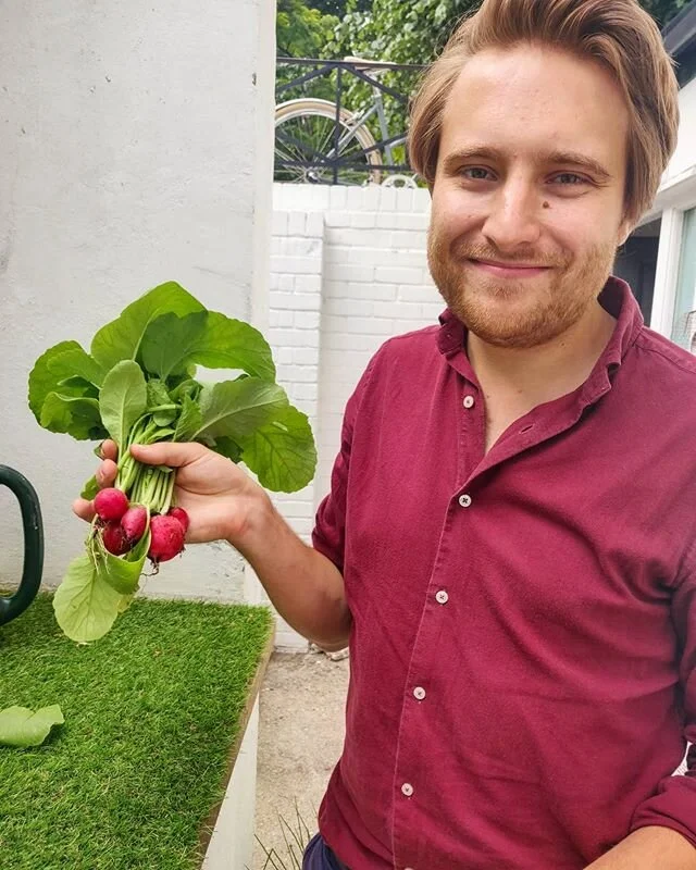 Home grown radishes in our little London garden 👍
.
.
.
.
.
#radish #homegrown #gardening #growyourownfood #organic #chef #london #matching