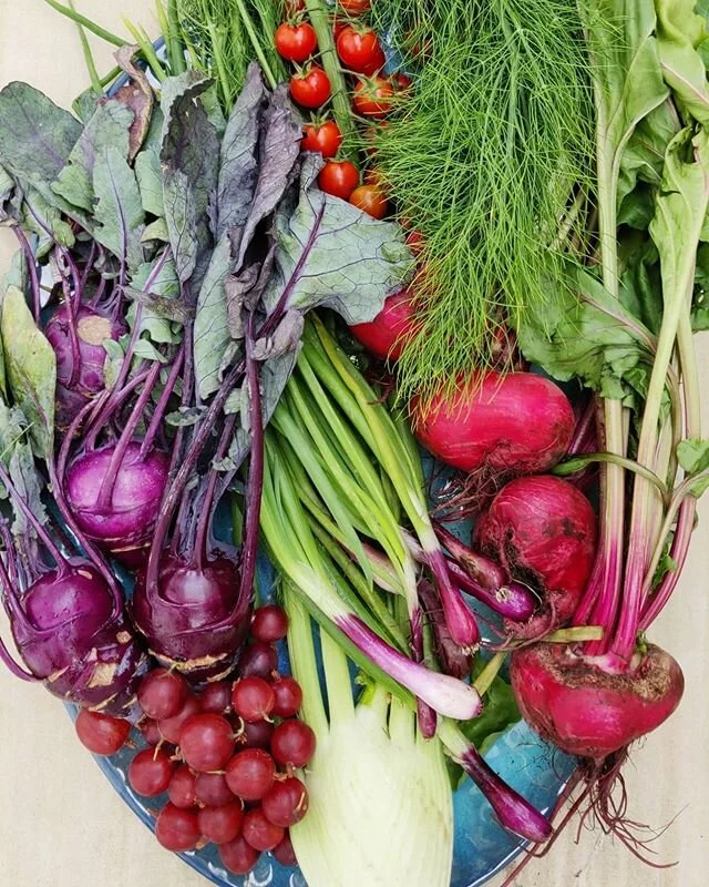 Fruits de Veg 👍Look at these beauties! And thank you to my trusty packhorse @claudia_selby .
.
.
.
.
#fresh #vegetables #seasonal #tasty #green #rootvegetables #market #primrosehillmarket #organic #organicfarming #organicveggies #instaveg #instafood