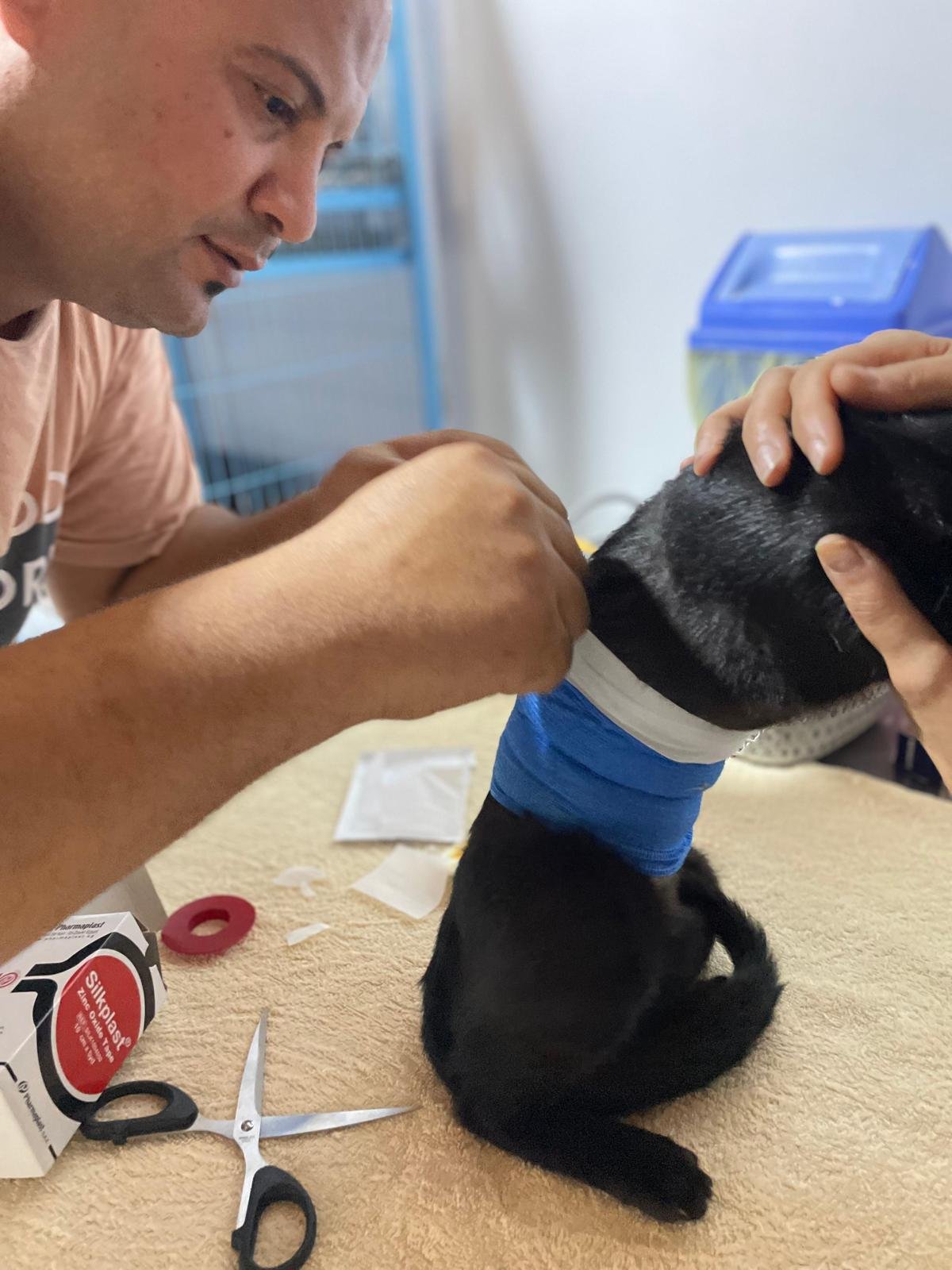 IMG-20251107-WA0135.jpg