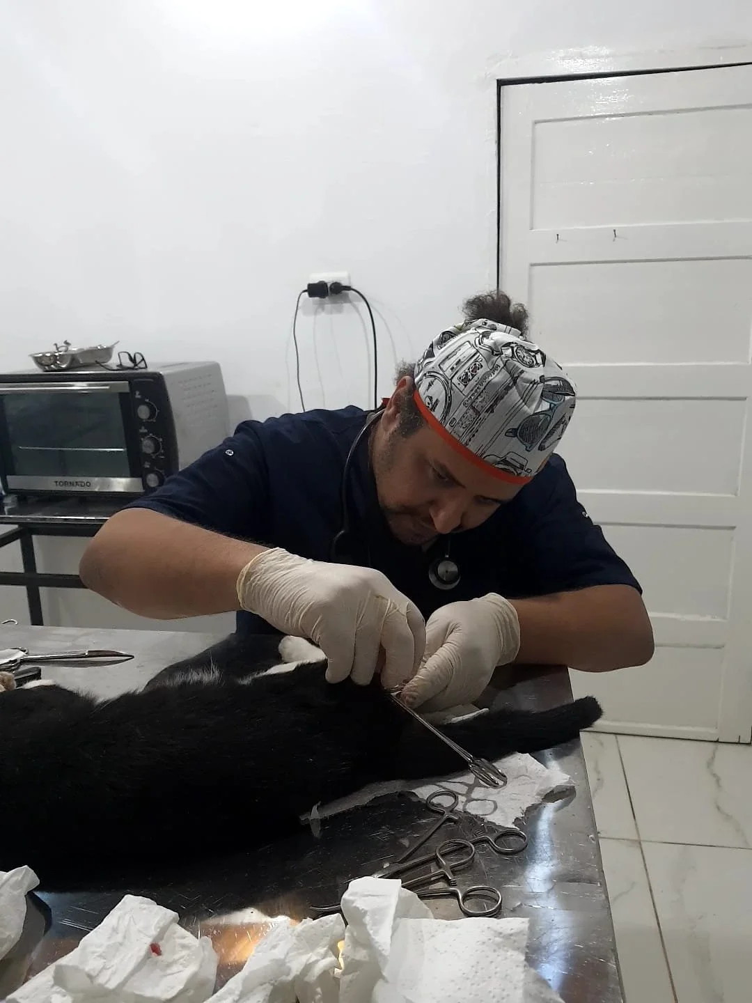 Vet Neutering a Male Cat