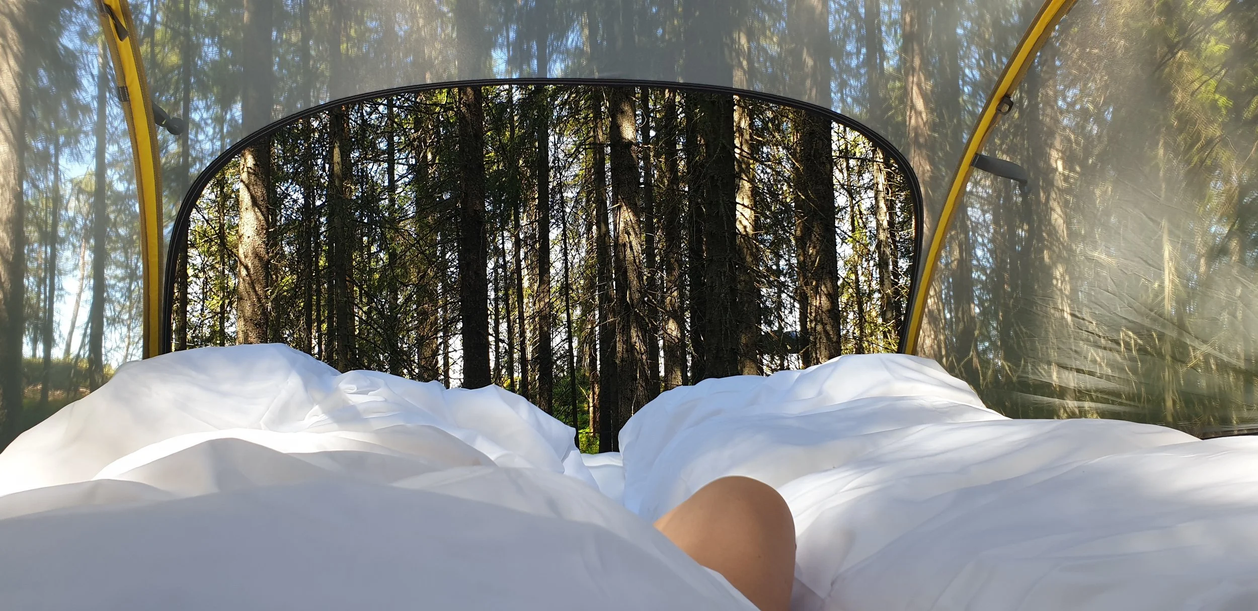 SUP-&-Soul-Norway-Retreat-Inside-Tree-Tent.jpg