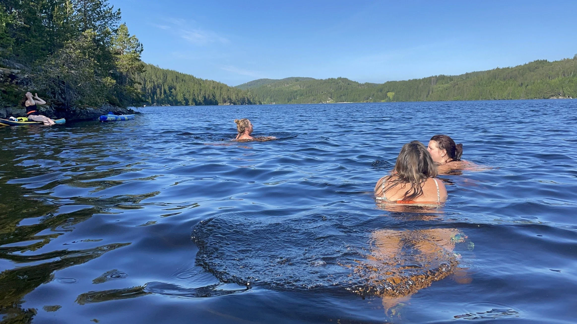 Swimming.jpeg