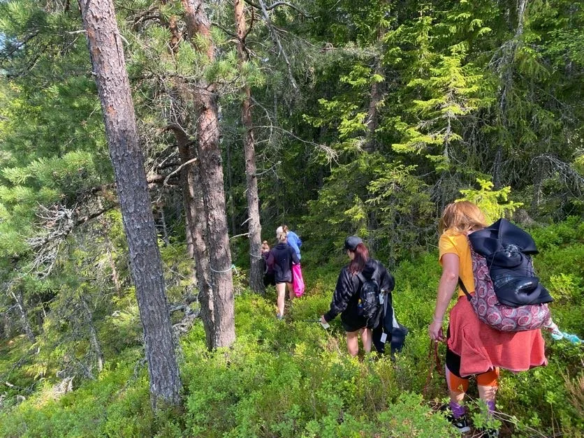 Forest Hiking
