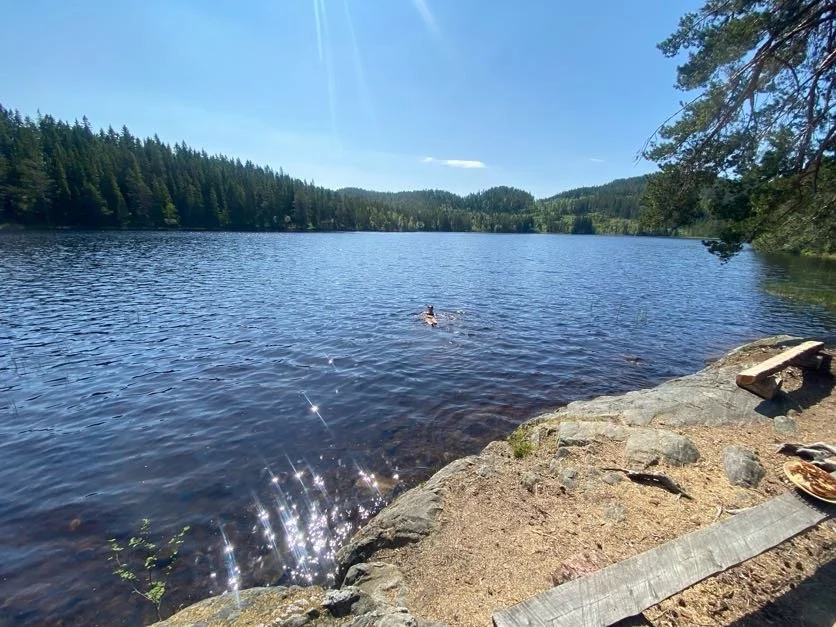 Wild Swimming