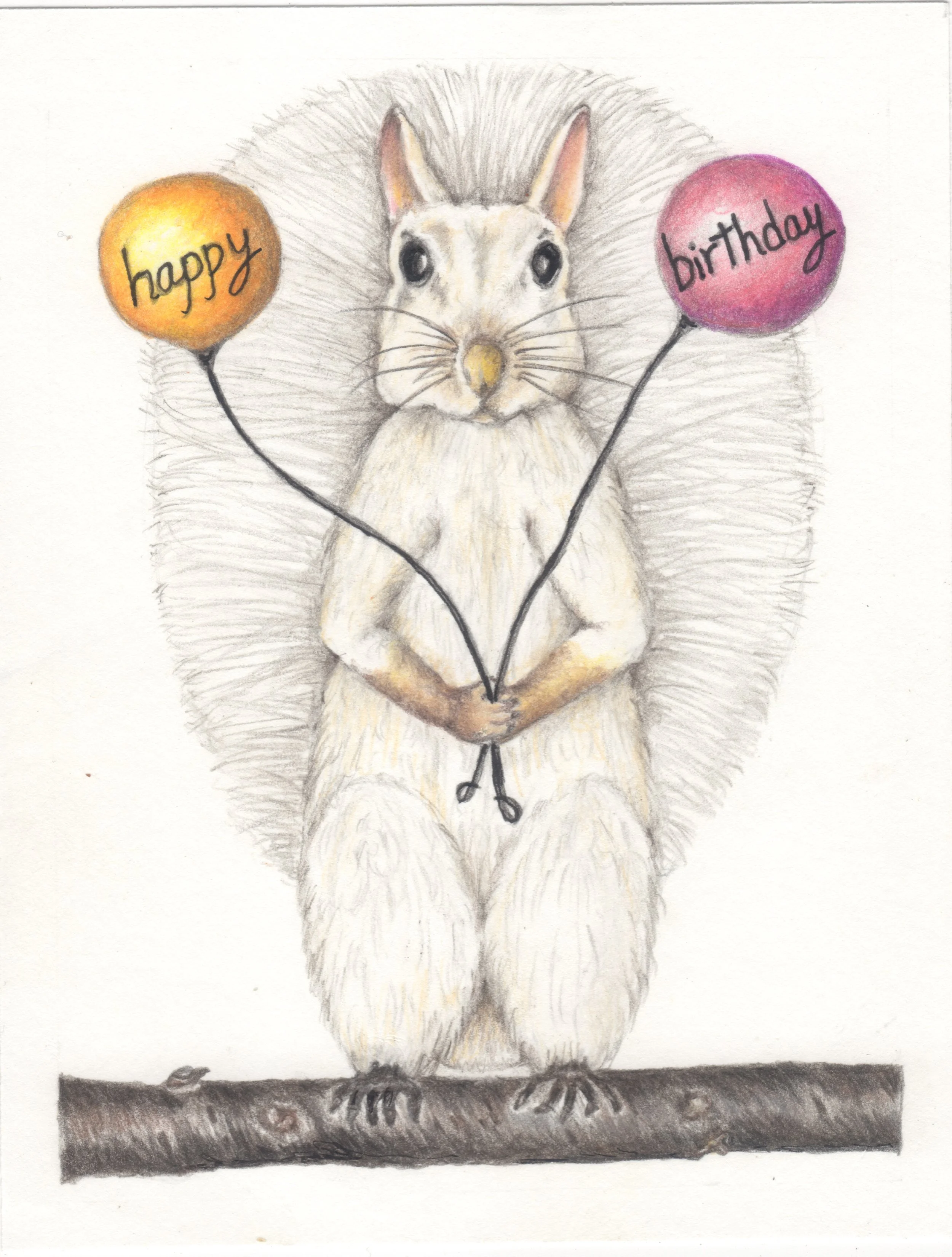 2 Pack of blank notecards with envelopes featuring Blanca of White Squirrel Nation