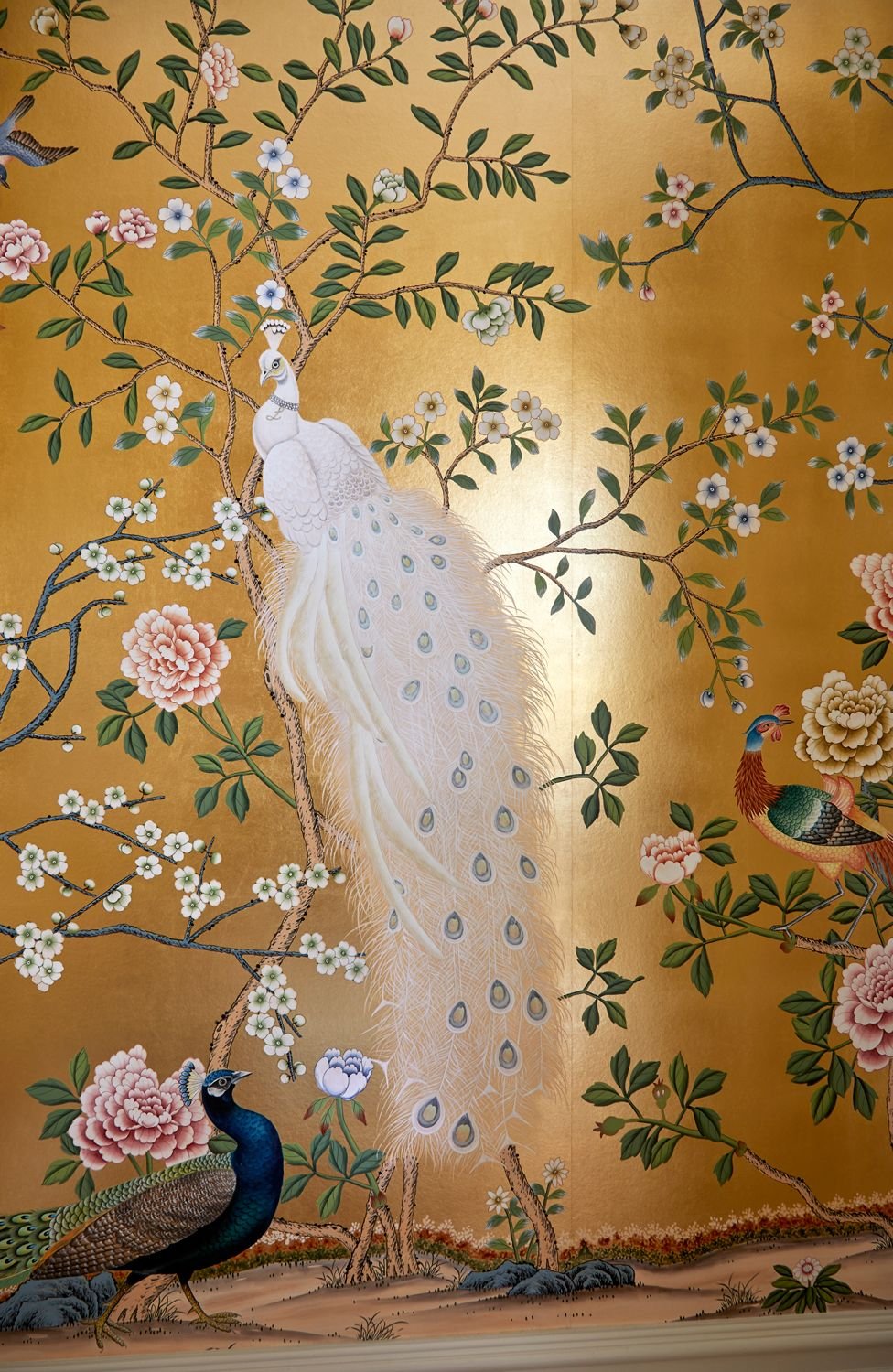 Tiara wearing Albino Peacock