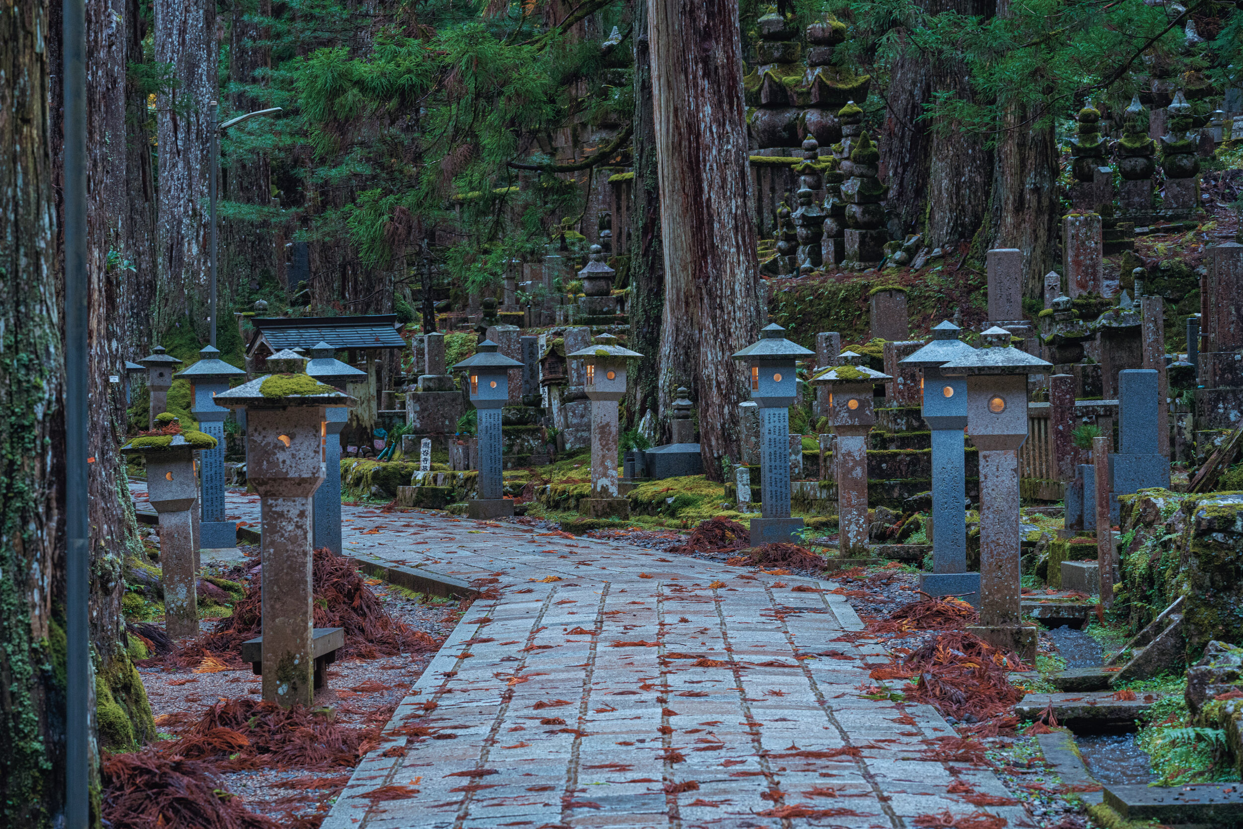 Koyasan Descent.jpg