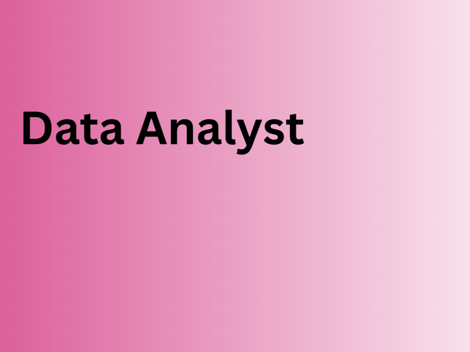 Data Analyst