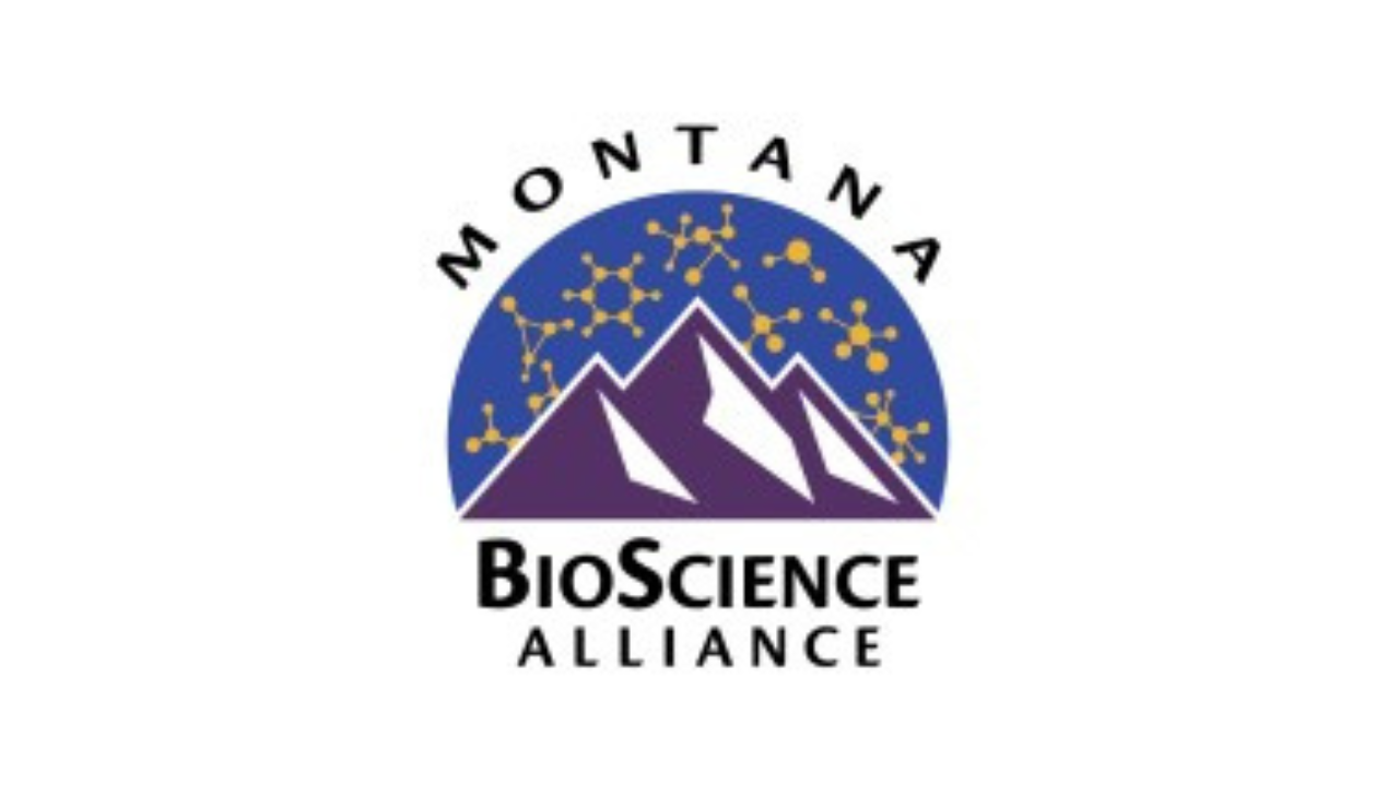 Engage a Network — MT High Tech Business Alliance