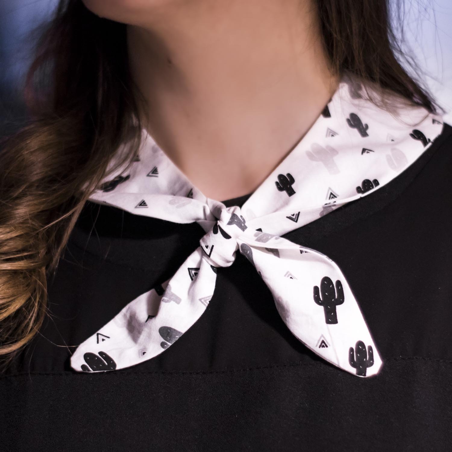 2019-01-26 IMG_007.jpg