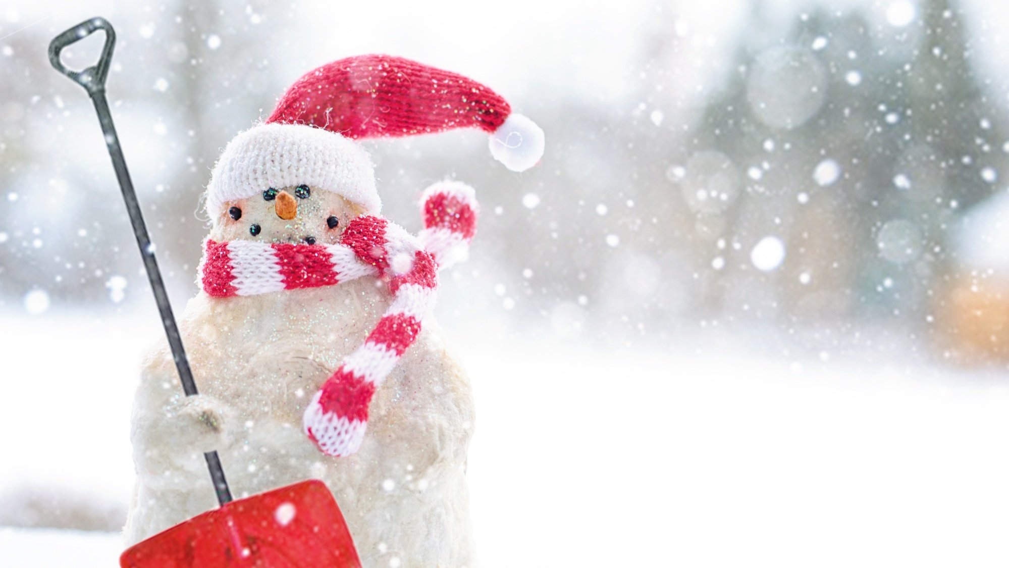 Navigating the Holidays While Going Through a Divorce