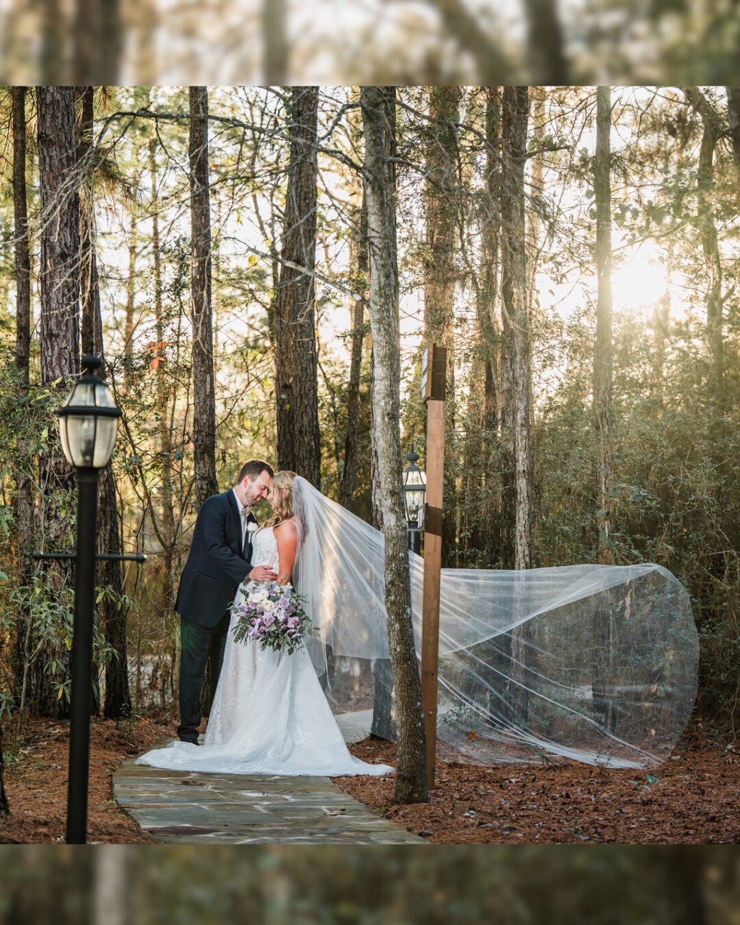 Day or night, our woods create an enchanting backdrop for your special day 🌳✨

📷 @studiohtown 
💐 @heb_magnolia_blooms 
👰🤵 @kebidwell &amp; @jacebidwell4 
💄 @ahspecialties 
Magnolia Bells Gold Package

More vendors from this beautiful wedding:
C