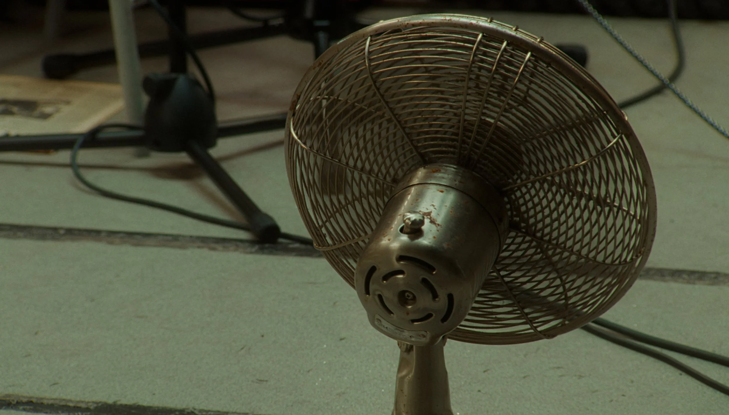 Yaz_live_12.46.04.jpg