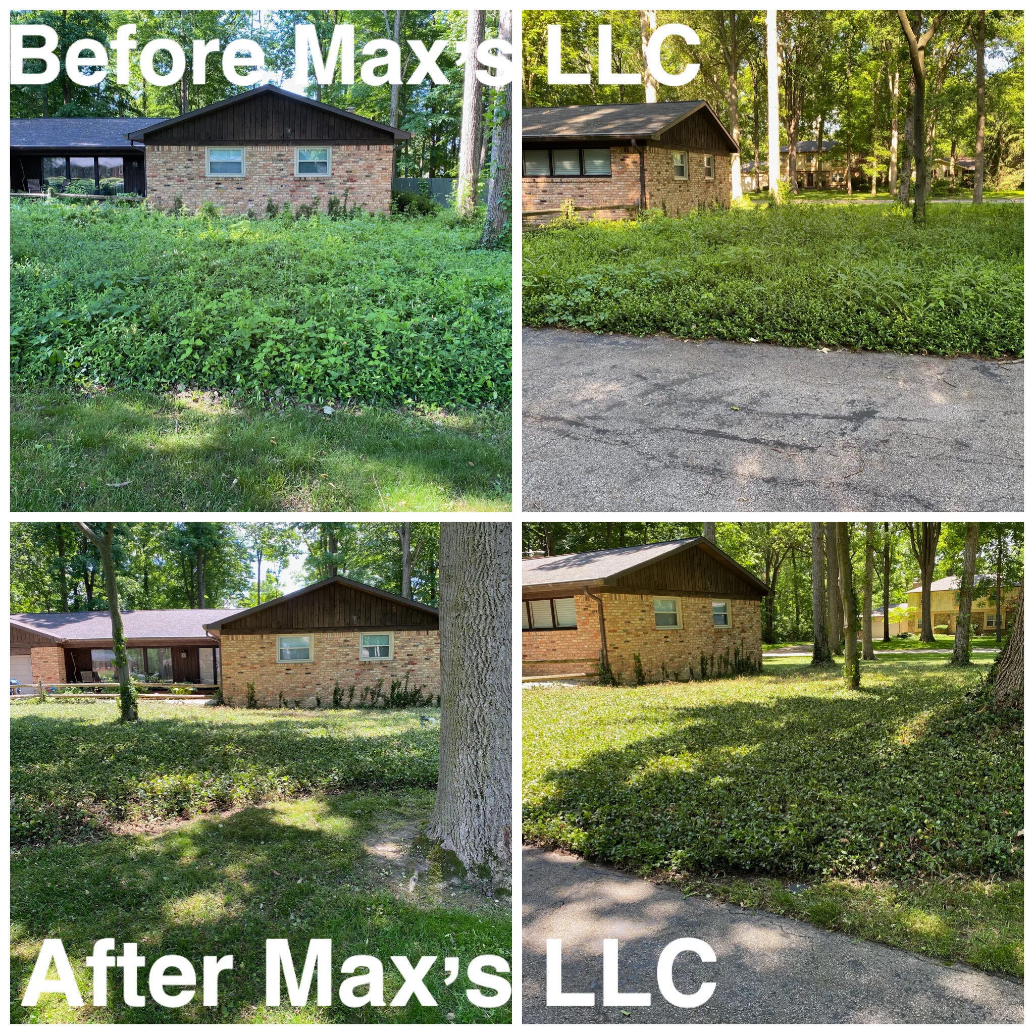 Ground covering cleanup 