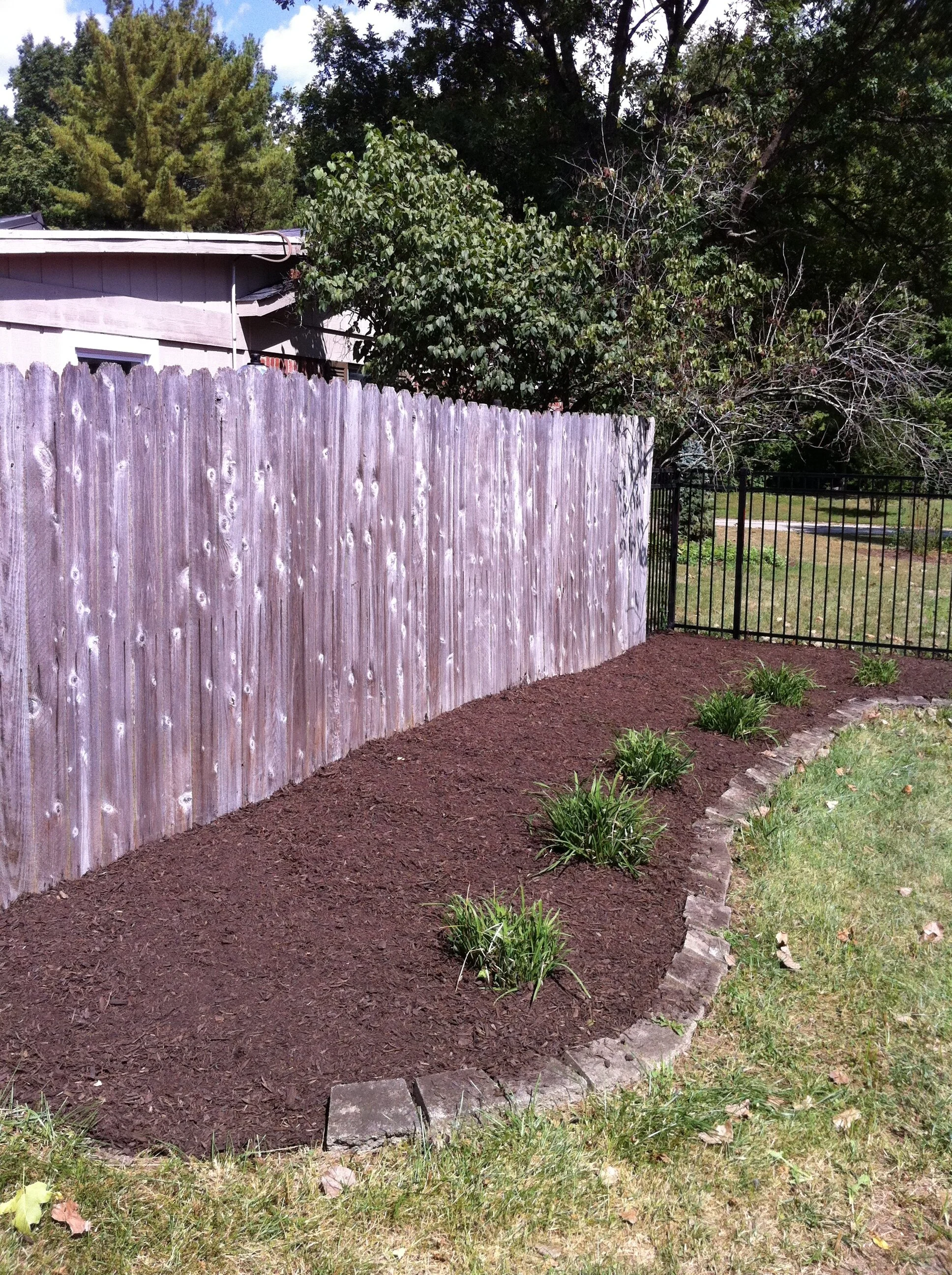Mulch installation and planting