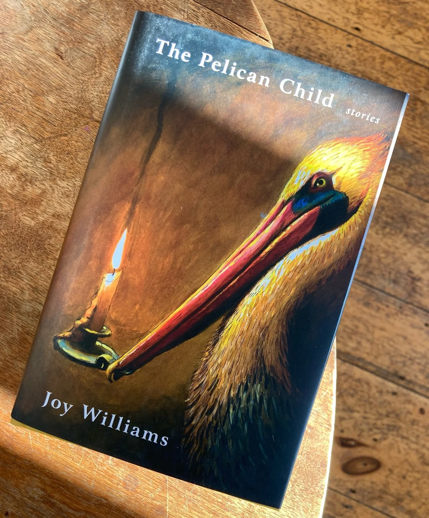 Joy Williams' writing is never easy to pin down, and this collection, longlisted for the 2025 National Book Award, is no different: spare sentences and surreal characters, the undercurrent here is degradation of the climate, of human relationships, o