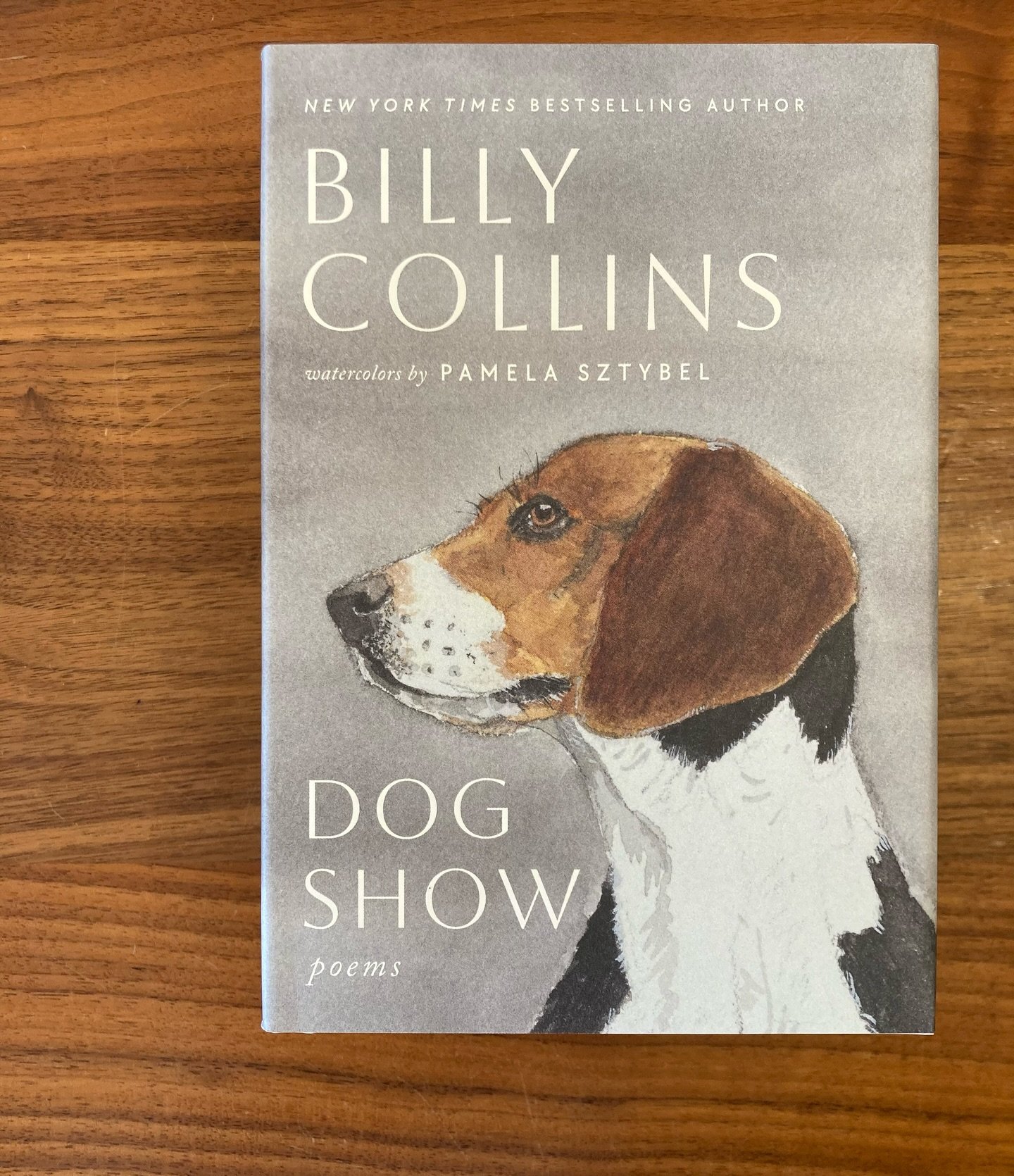 A pure delight, this very latest from Billy Collins:
'Today I turned 420 in dog years,
So I have decided to take myself for a long walk on the path around the lake;
And when I get back home I will jump up on my chest and lick my nose,ears, and eyelid