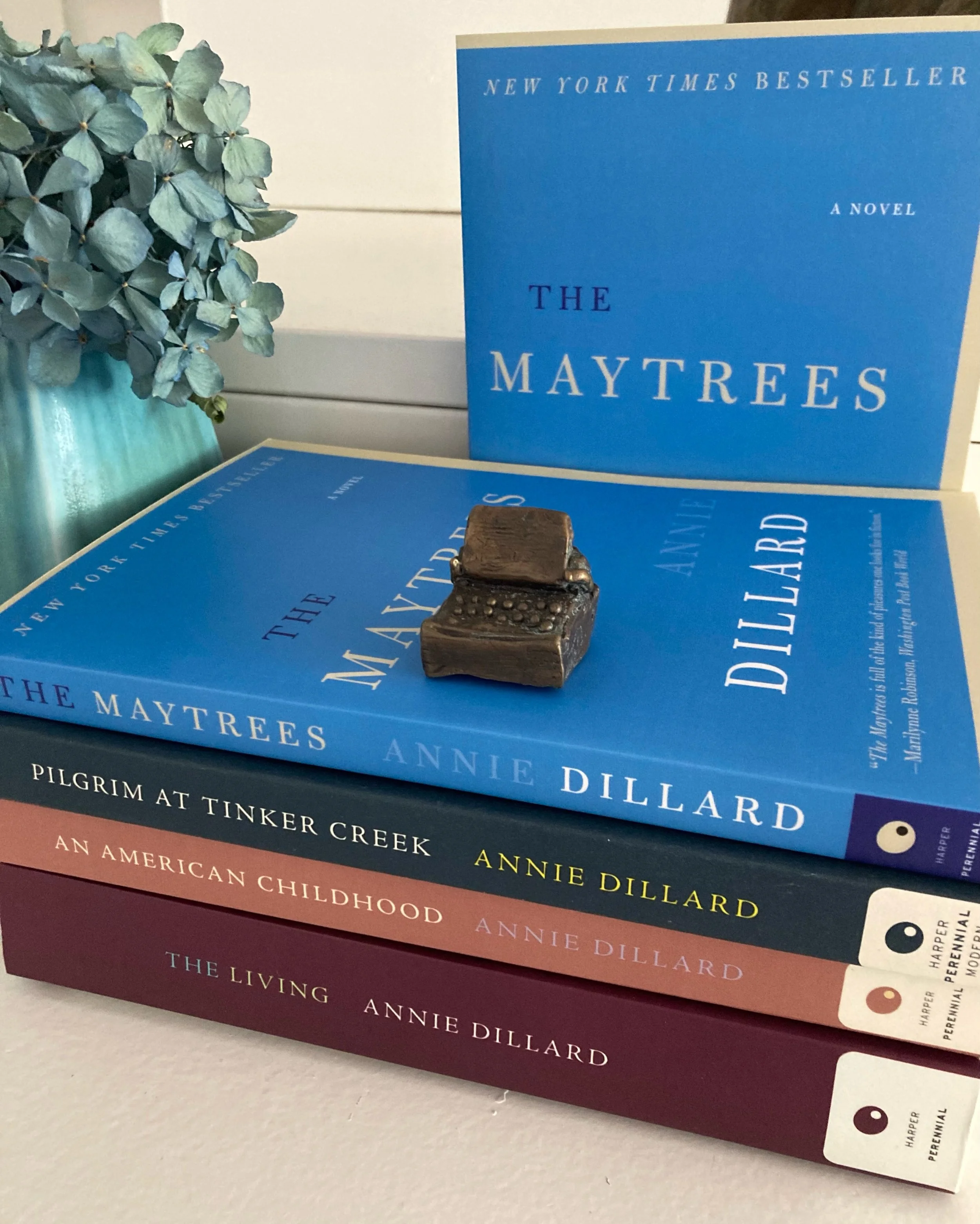 'Love so sprang at her, she honestly thought no one had ever looked into it. Where was it in literature? Someone would have written something....Time to read everything again.' - A. Dillard, The Maytrees. 📚  Annie Dillard wrote about memory, existen