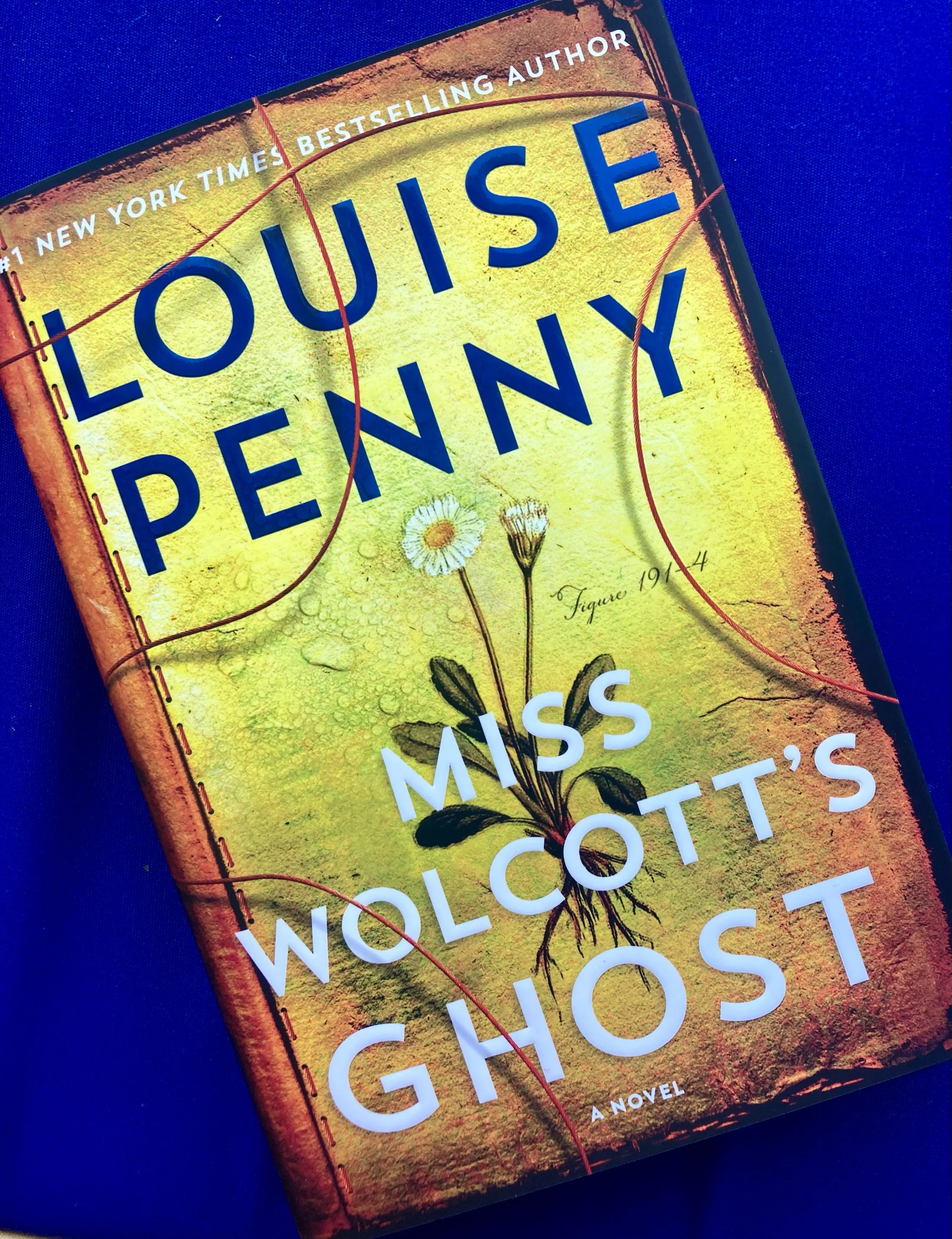 For all our intrepid Chief Inspector Gamache fans- it's out today! #iykyk #nextbook #visitcastine #compassrosebooks