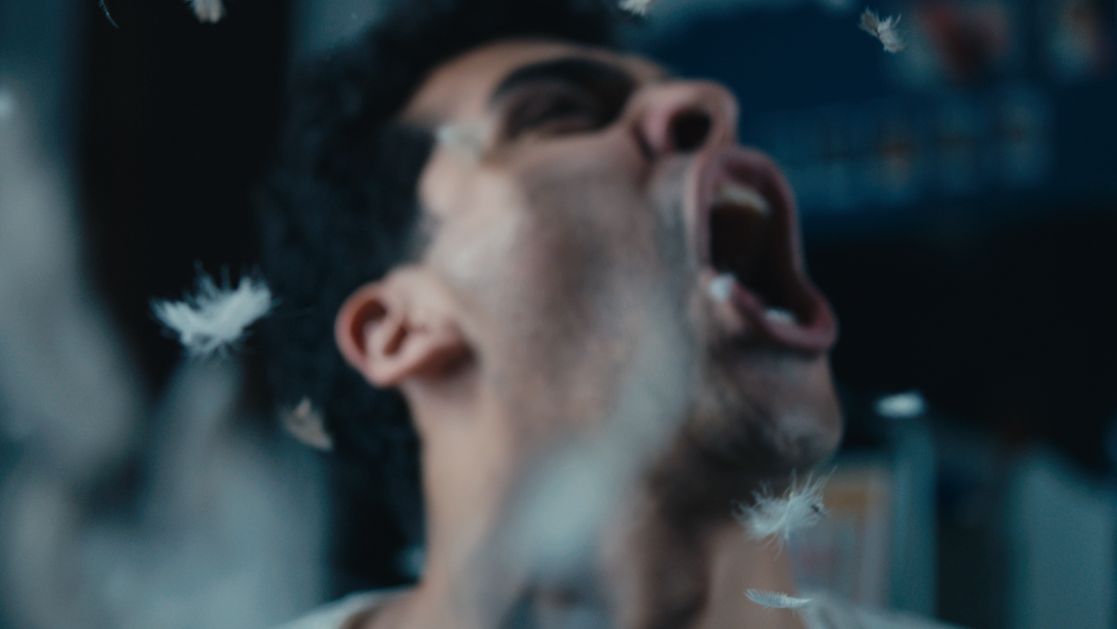 Screenshot 2025-12-11 at 7.04.23 PM copy.png